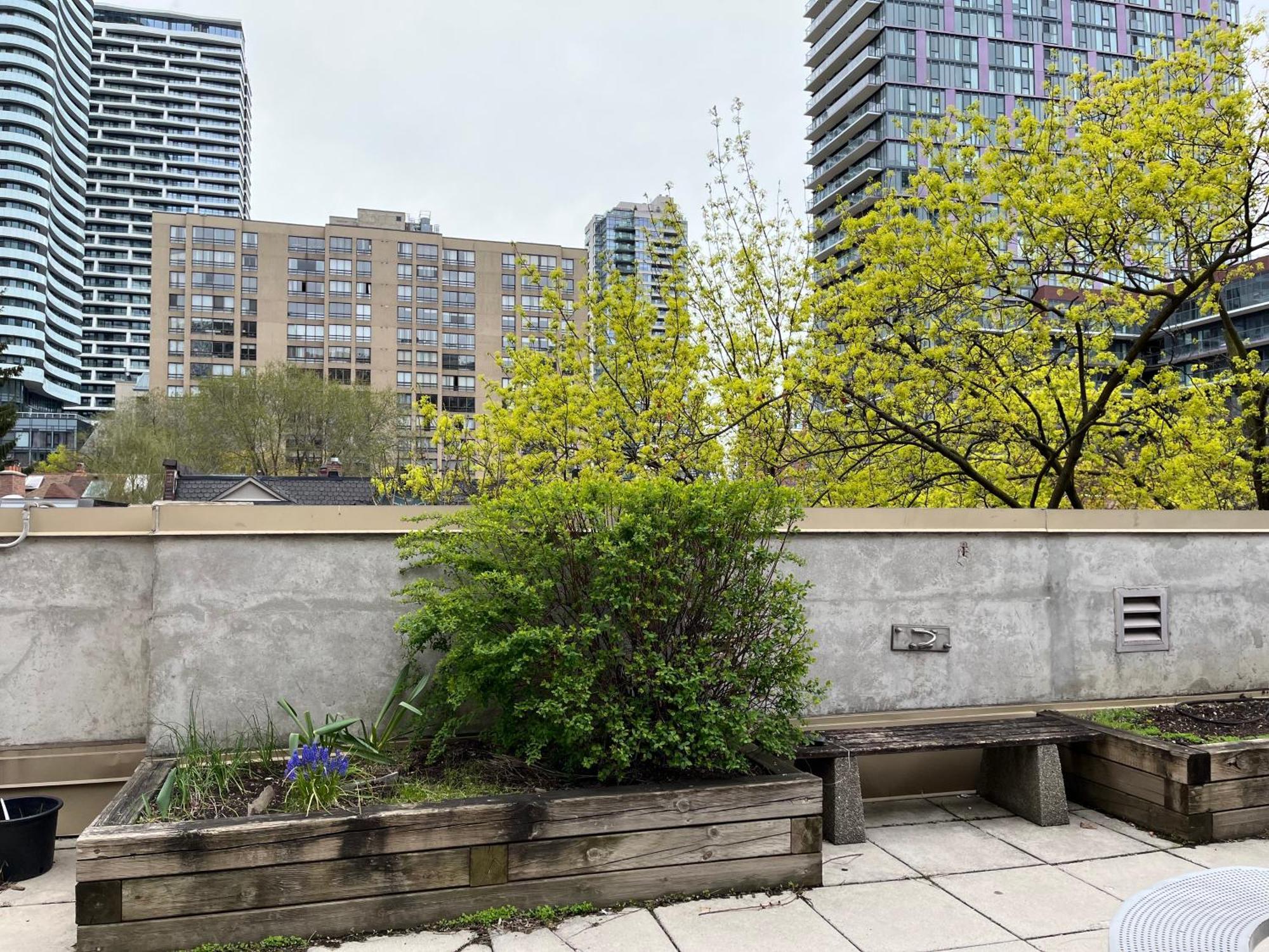 Neill Wycik Hotel Toronto Esterno foto